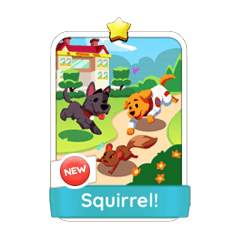 Squirrel! 1Stars-S3-3