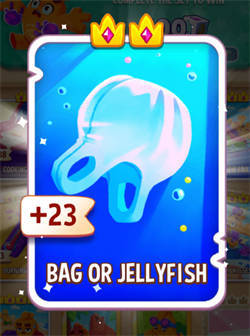 BAG OR JELLYFISH