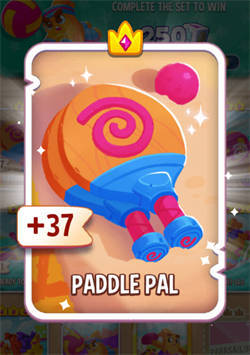 PADDLE PAL