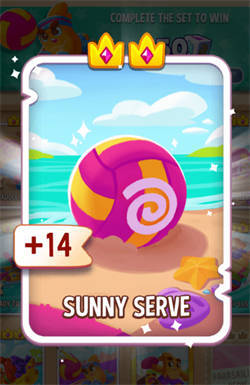 SUNNY SERVE
