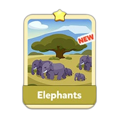 Elephants 1 Stars-S7-2