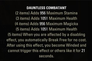 PC-NA-Dauntless Combatant