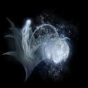 PC Special Ashes Upgrading: 1-10