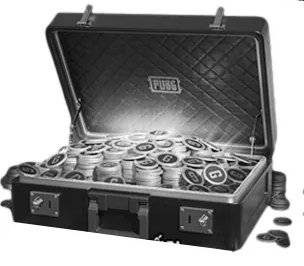 PUBG G-coin Box-Bronze Box